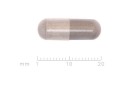 Witamina C - olway